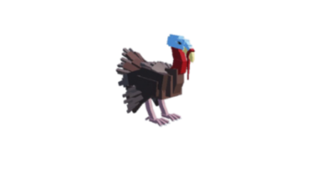 Turkey Bird